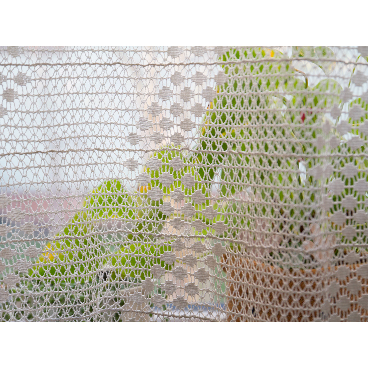 Close-up of the crochet lace pattern with a green plant visible through the openwork