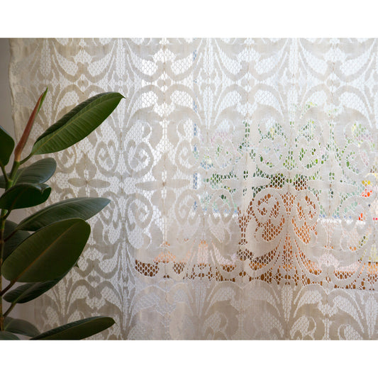 Ornate baroque scroll pattern of a vintage lace curtain with a green plant on the windowsill behind