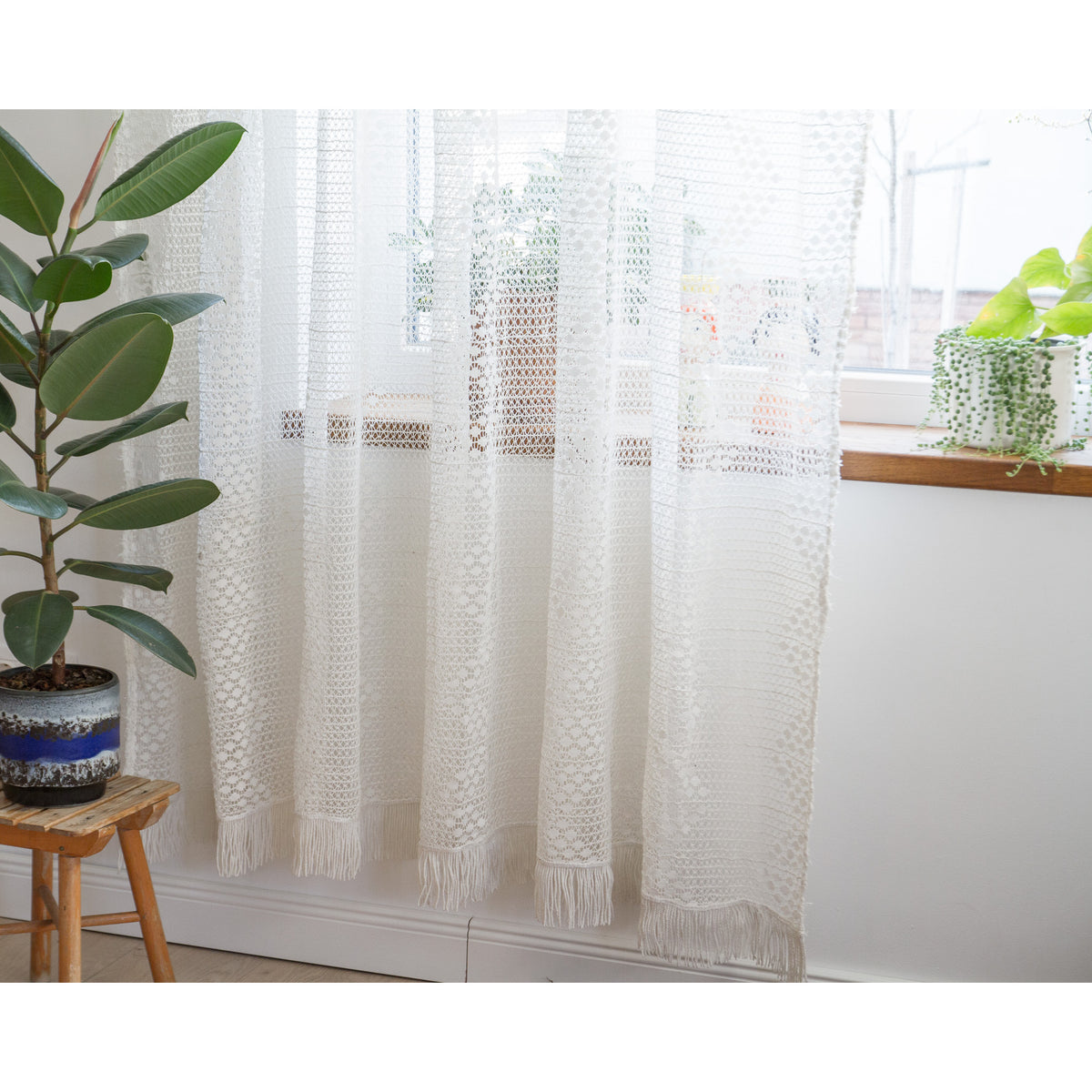 Bottom of a vintage lace curtain with long fringe next to a rubber plant, romantic home decor