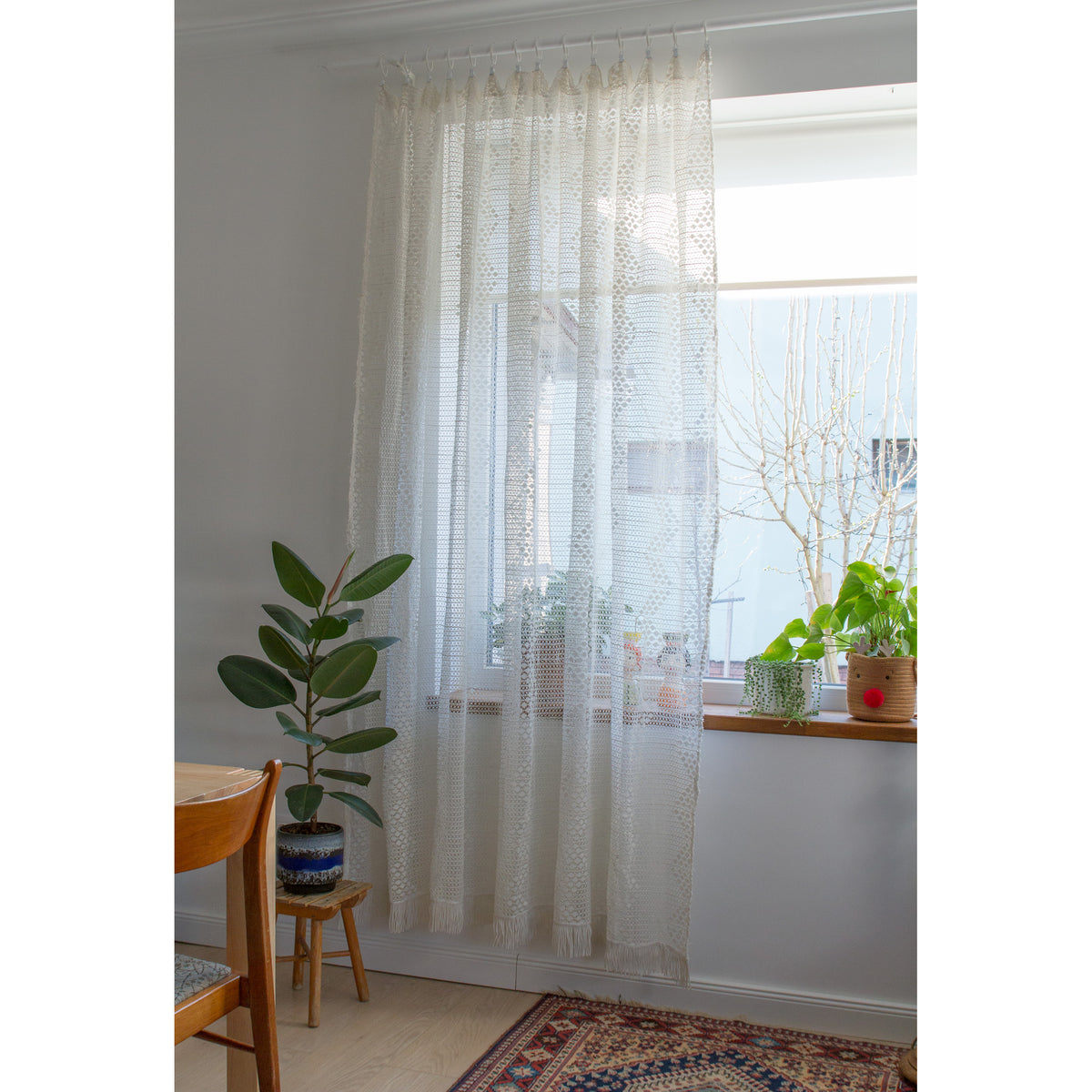 Full length white vintage lace curtain hanging at a window with plants, cozy cottage style decor
